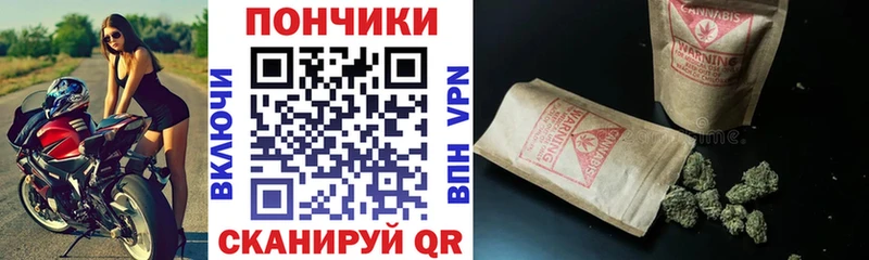 Конопля планчик Шумиха